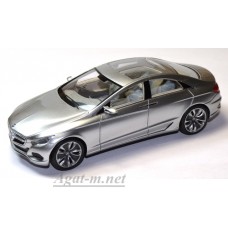 1055S-SPK Mercedes-Benz F800 Concept 2010 Silver